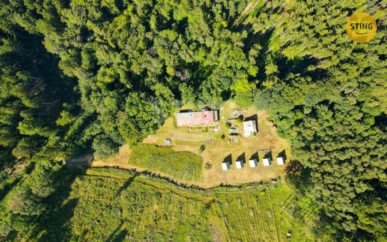 Prodej domu 500 m² - foto 7