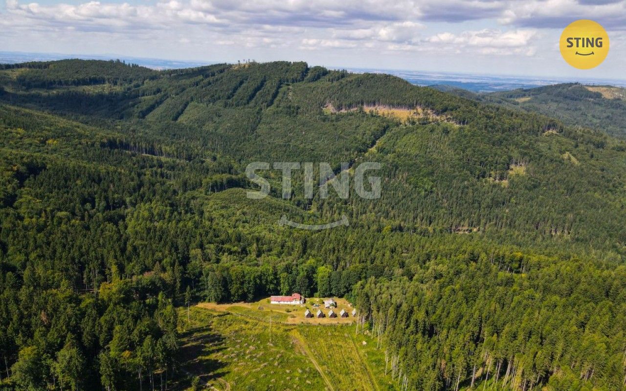 Prodej domu 500 m² - foto 10