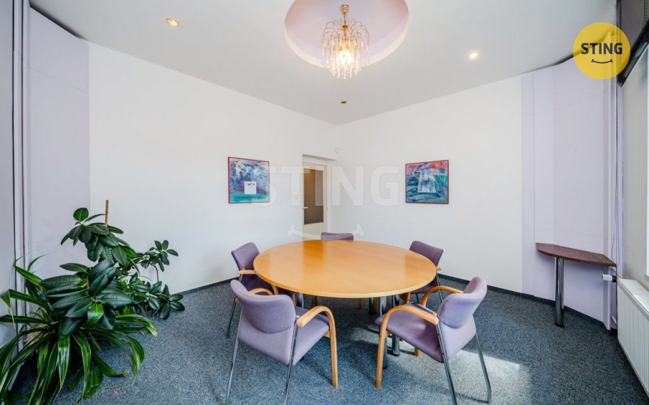 Pronájem komerčního prostoru 250 m² - foto 4