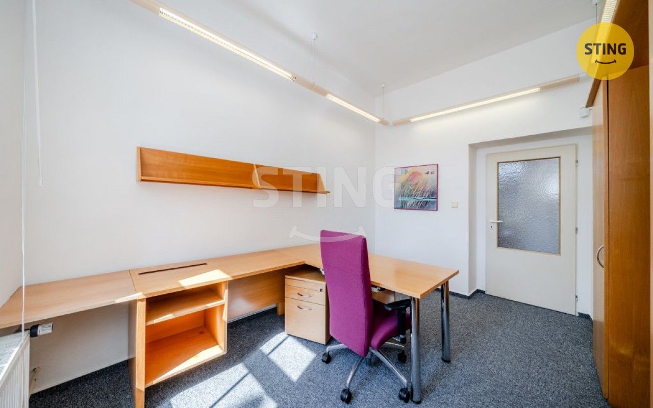 Pronájem komerčního prostoru 250 m² - foto 10