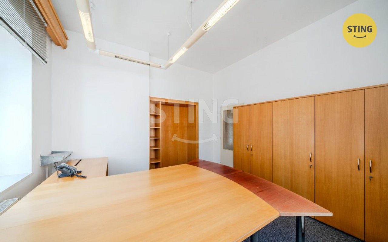 Pronájem komerčního prostoru 250 m² - foto 11