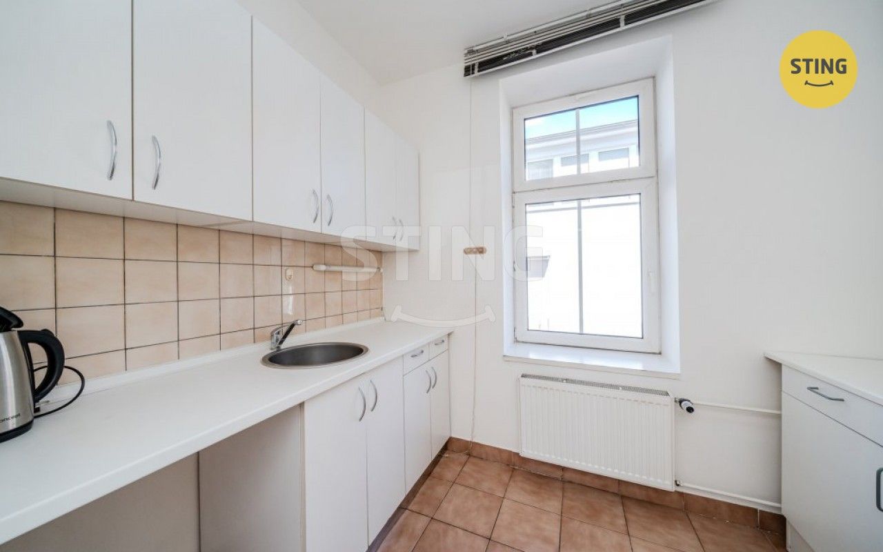 Pronájem komerčního prostoru 250 m² - foto 12