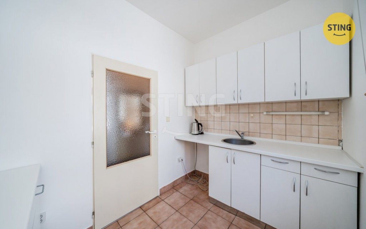Pronájem komerčního prostoru 250 m² - foto 13
