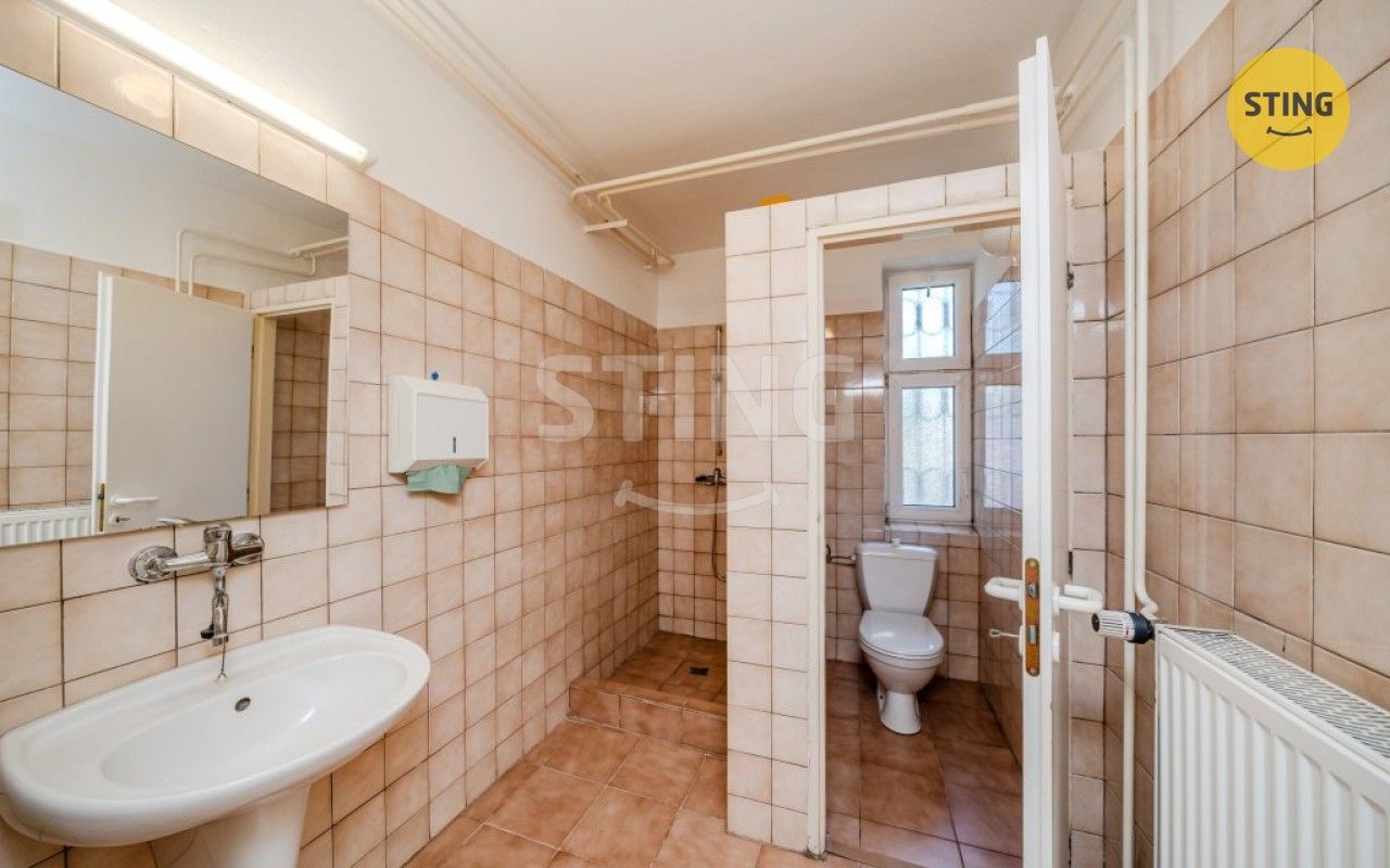 Pronájem komerčního prostoru 250 m² - foto 14