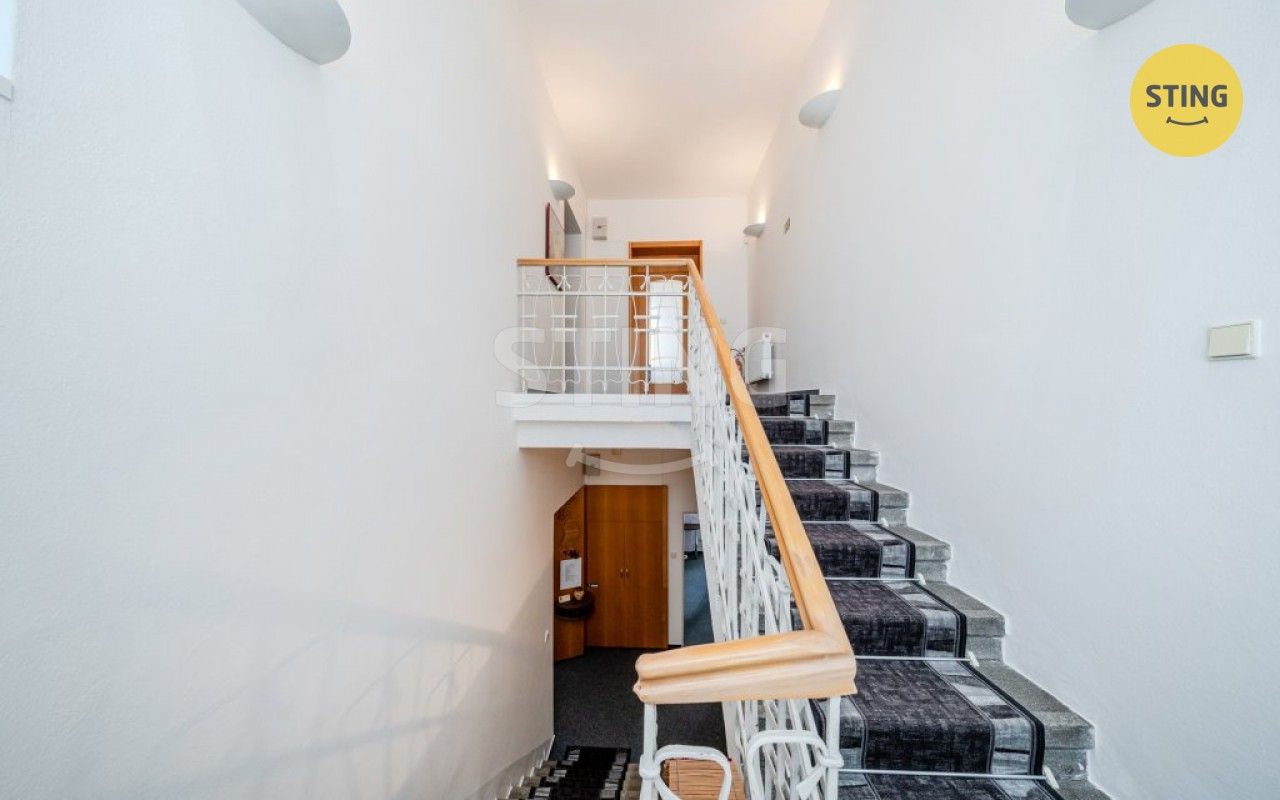 Pronájem komerčního prostoru 250 m² - foto 16