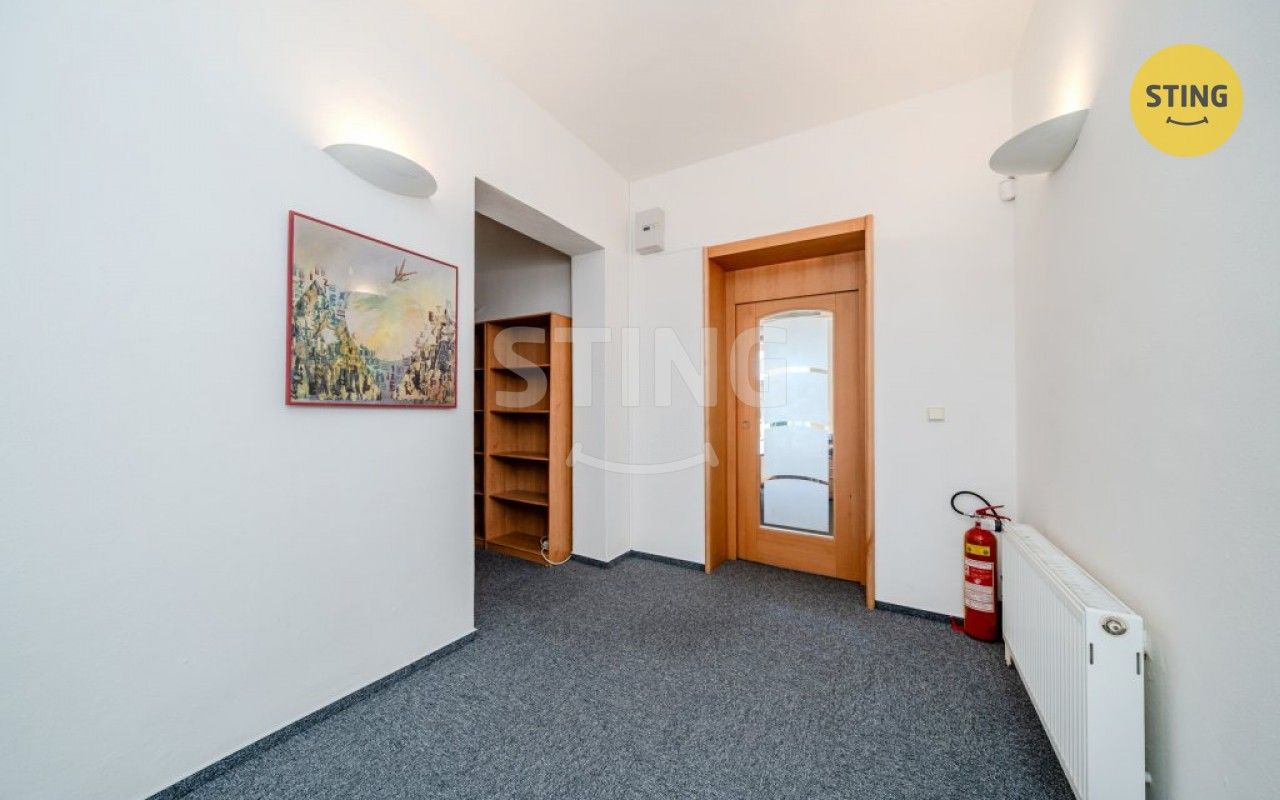 Pronájem komerčního prostoru 250 m² - foto 21