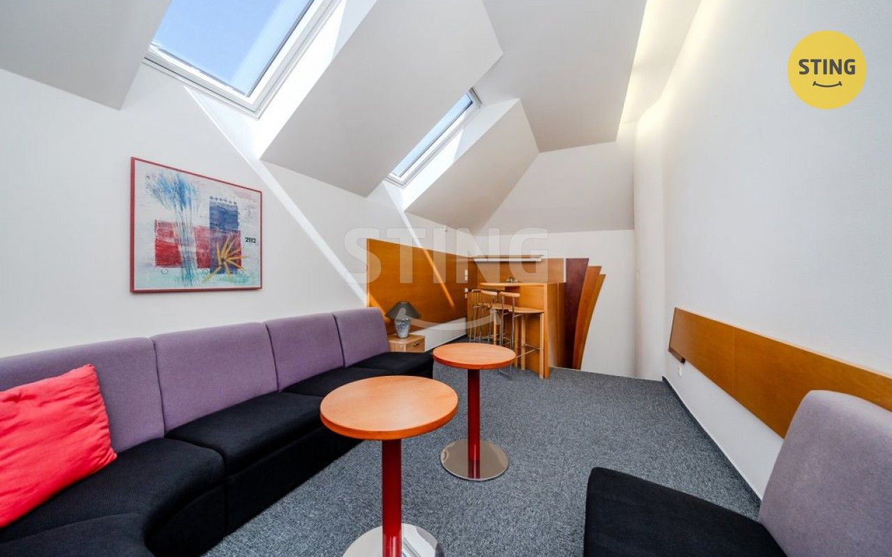 Pronájem komerčního prostoru 250 m² - foto 17