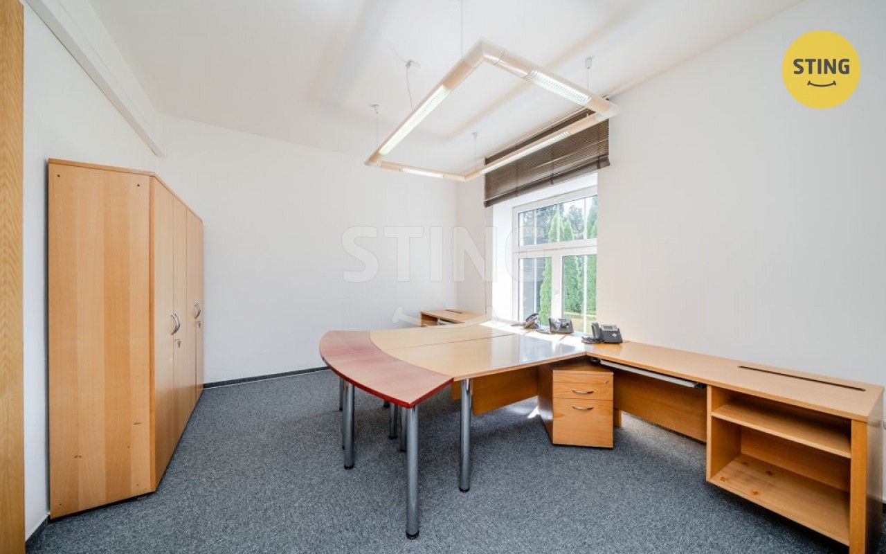Pronájem komerčního prostoru 250 m² - foto 32