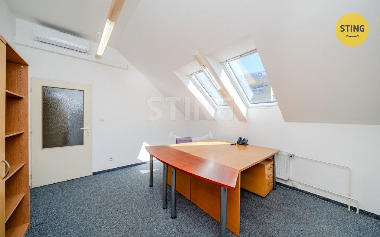 Pronájem komerčního prostoru 250 m² - foto 28
