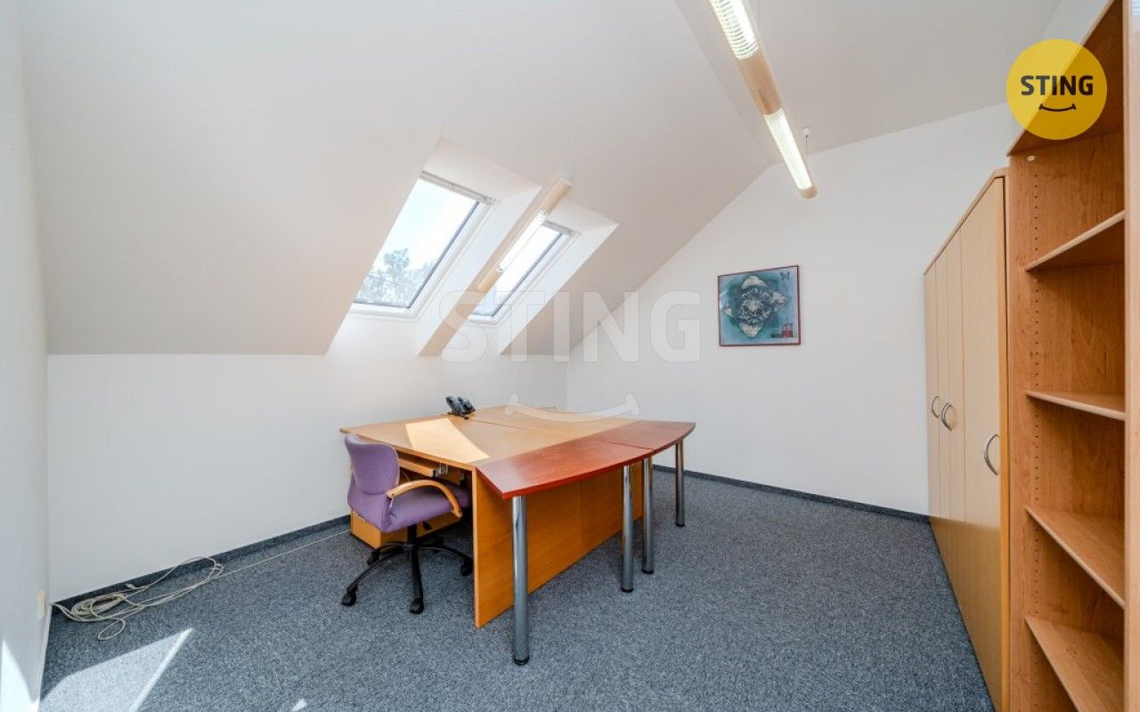 Pronájem komerčního prostoru 250 m² - foto 26
