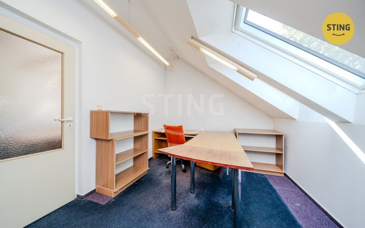 Pronájem komerčního prostoru 250 m² - foto 30