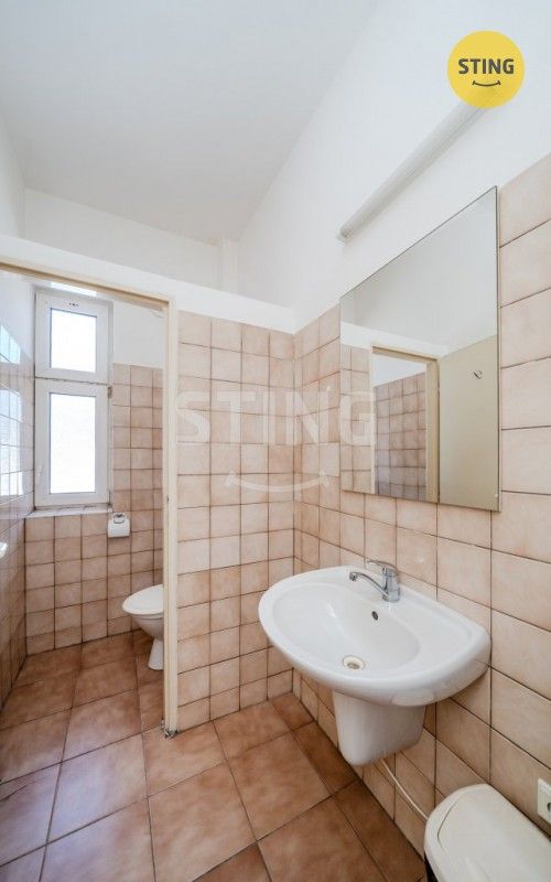 Pronájem komerčního prostoru 250 m² - foto 33