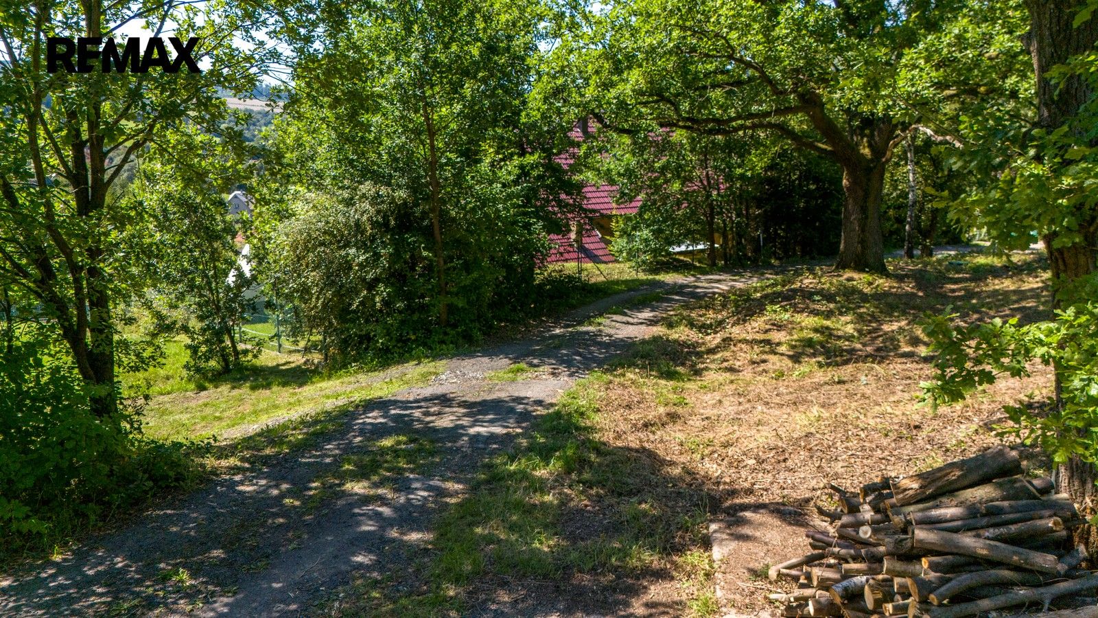 Prodej pozemku 4479 m² - foto 14