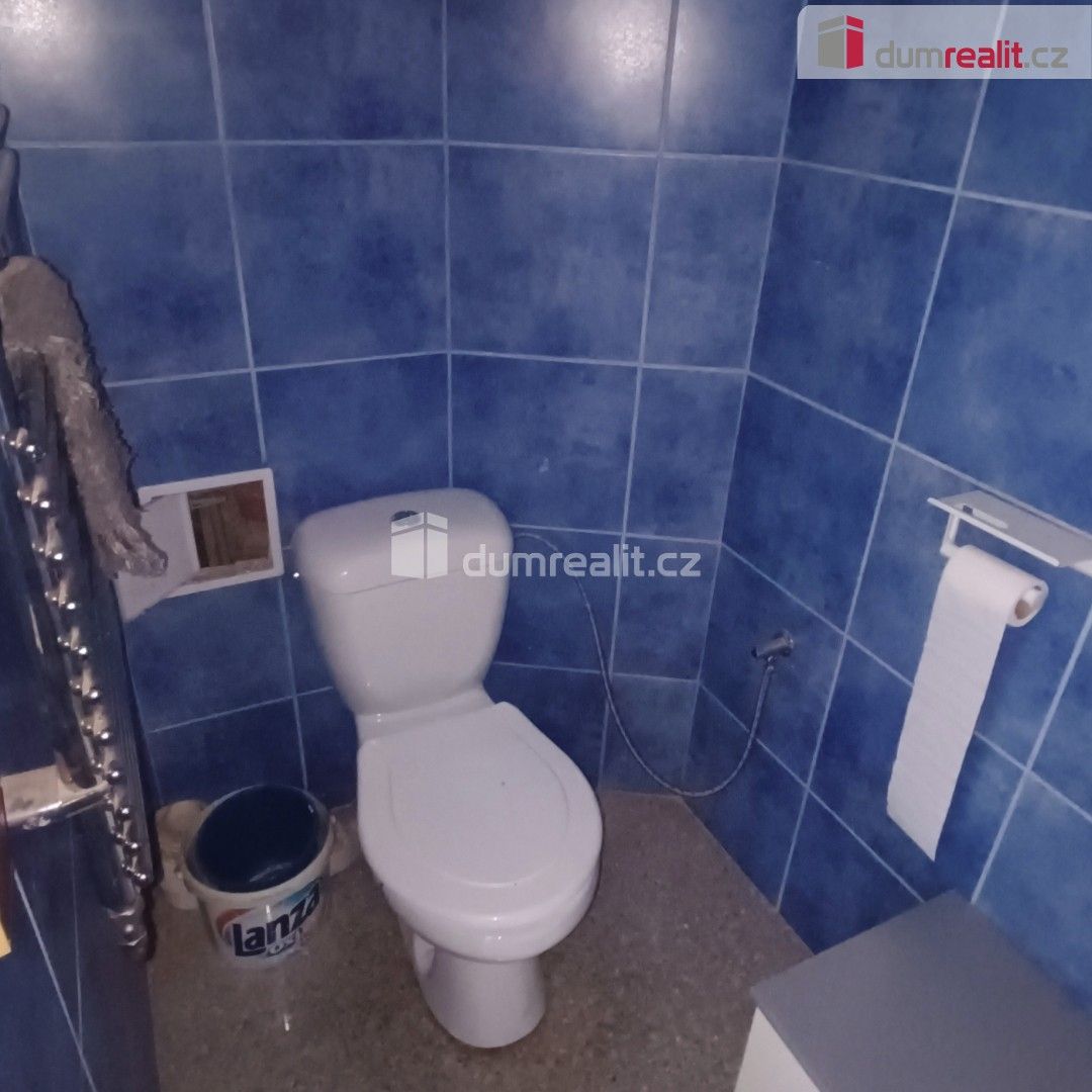Pronájem komerčního prostoru 71 m² - foto 11