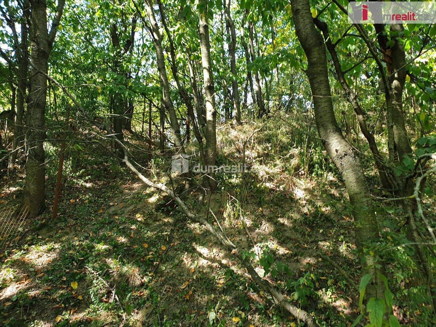 Prodej pozemku 1141 m² - foto 10