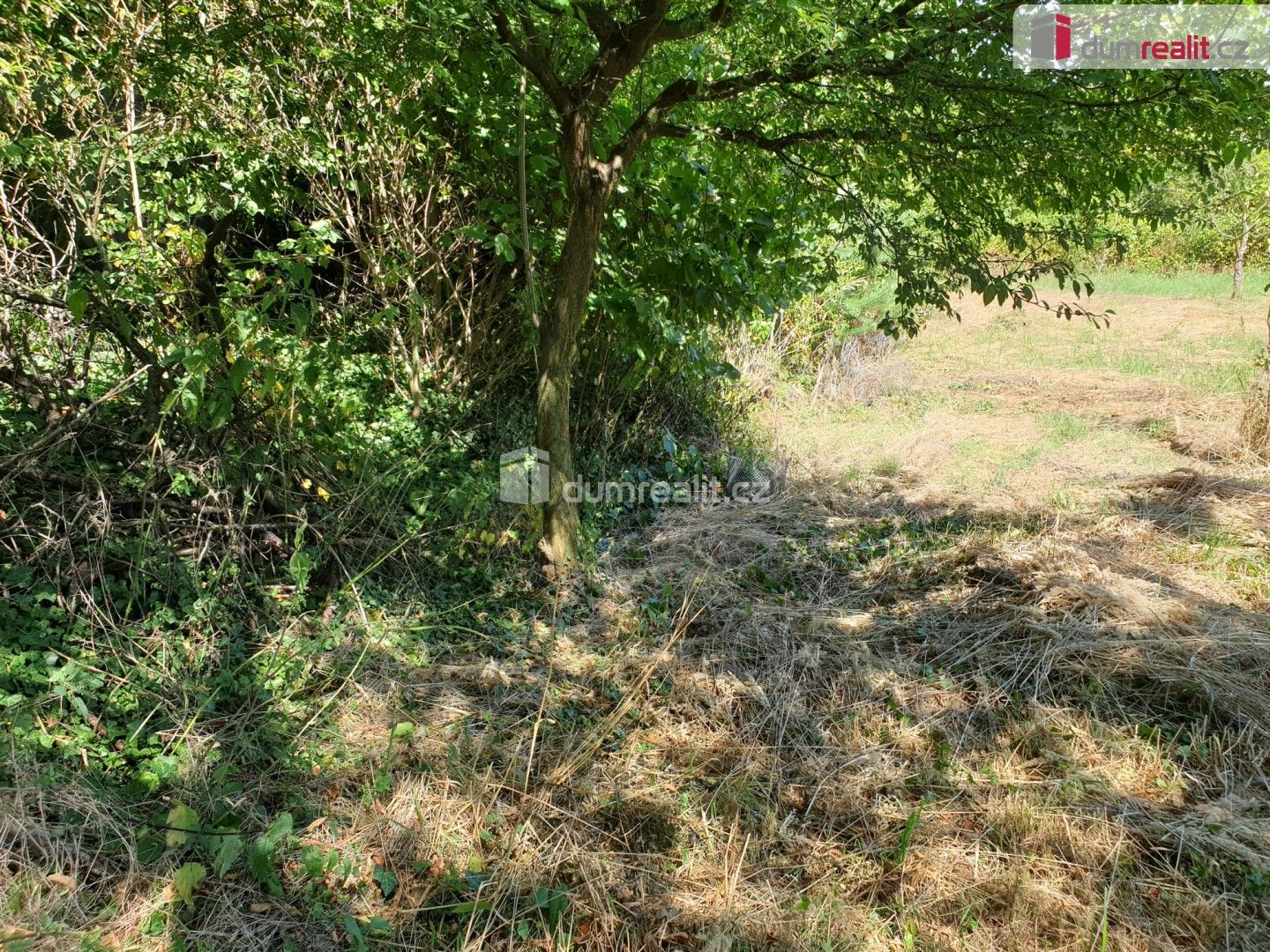 Prodej pozemku 1141 m² - foto 12