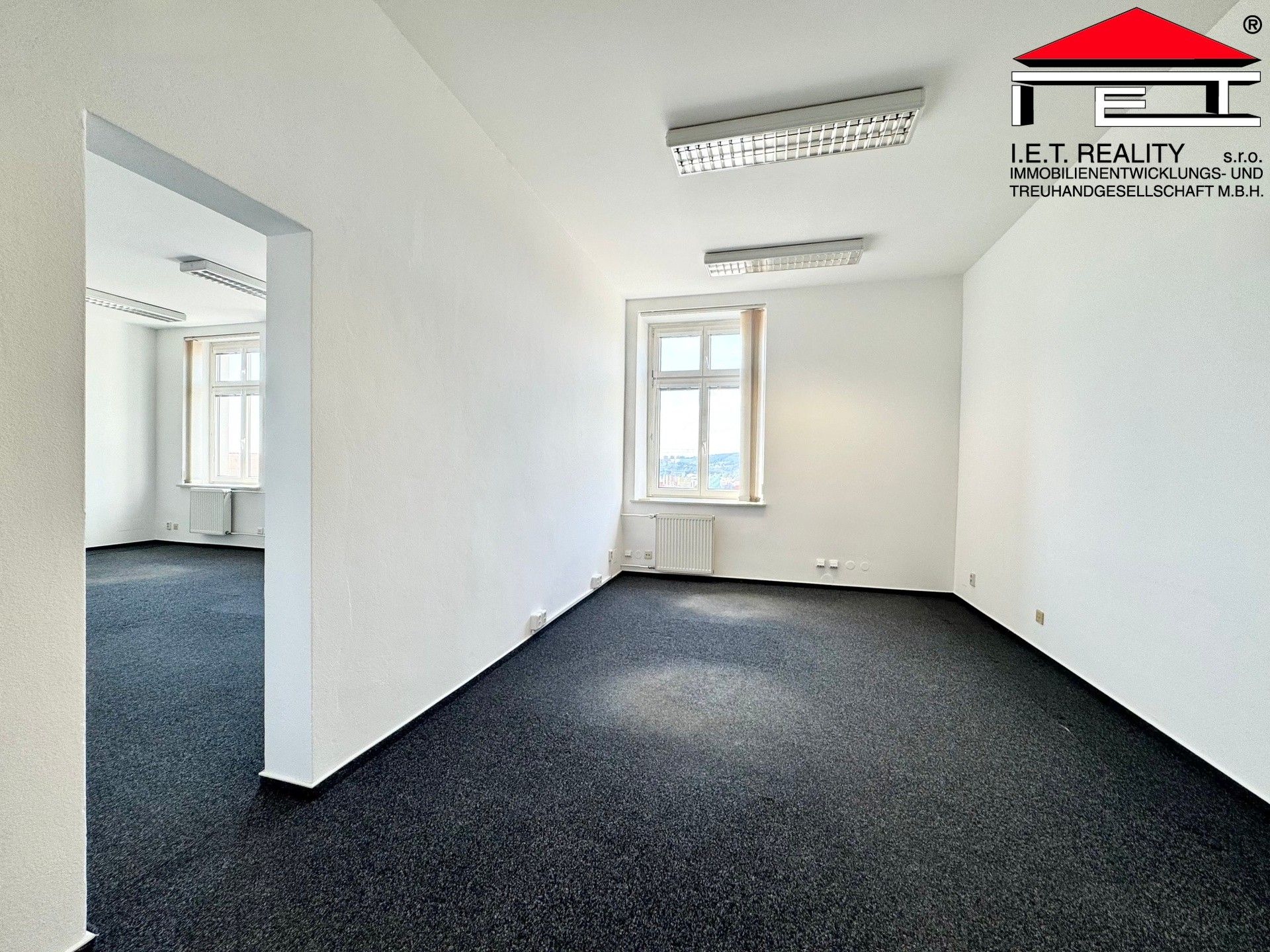 Pronájem komerčního prostoru 527 m² - foto 6