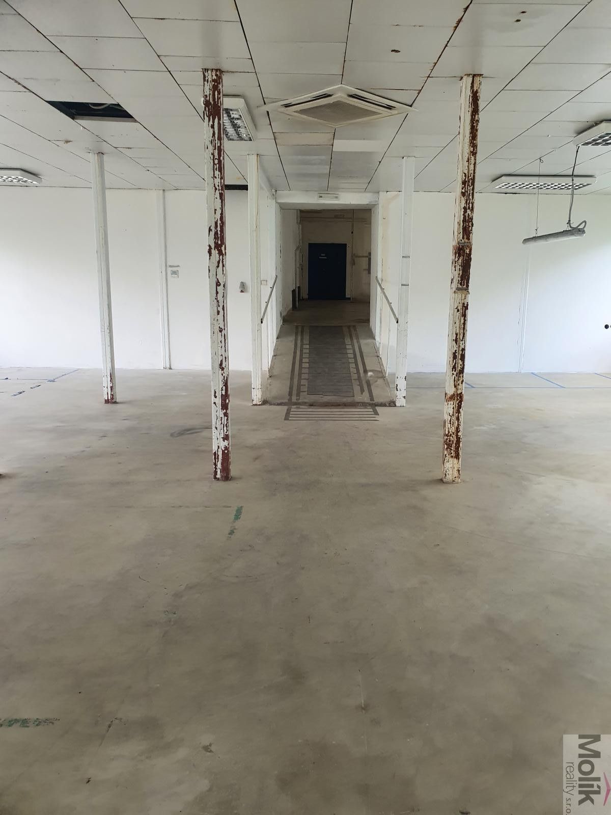 Pronájem nemovitosti 400 m² - foto 5