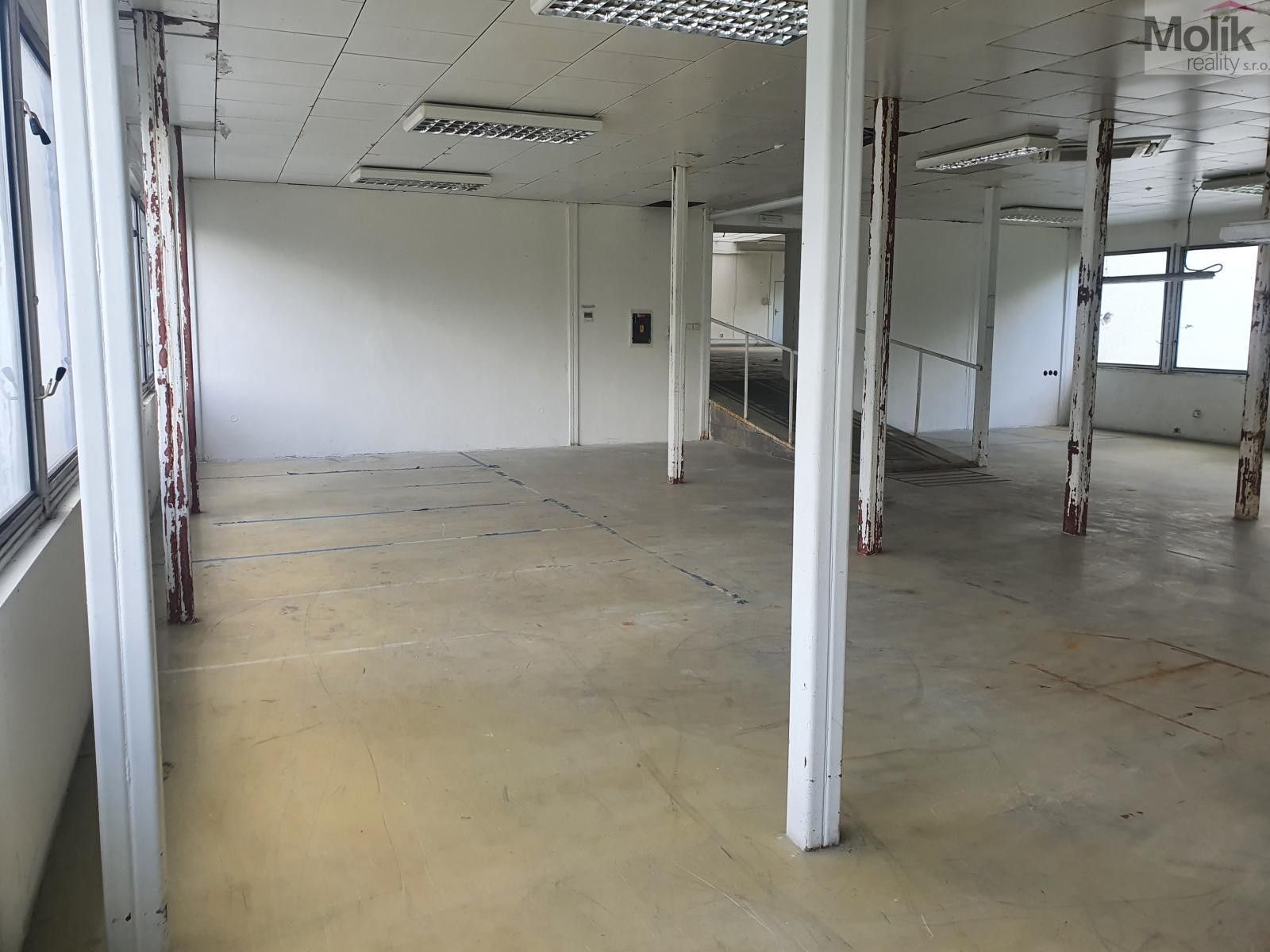 Pronájem nemovitosti 400 m² - foto 3
