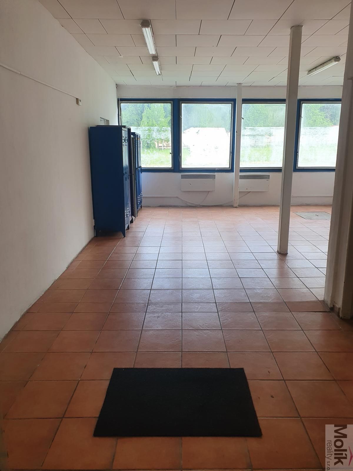 Pronájem nemovitosti 400 m² - foto 10