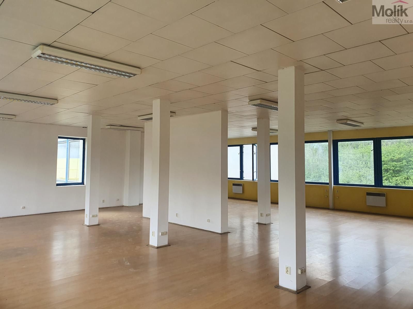 Pronájem nemovitosti 400 m² - foto 11