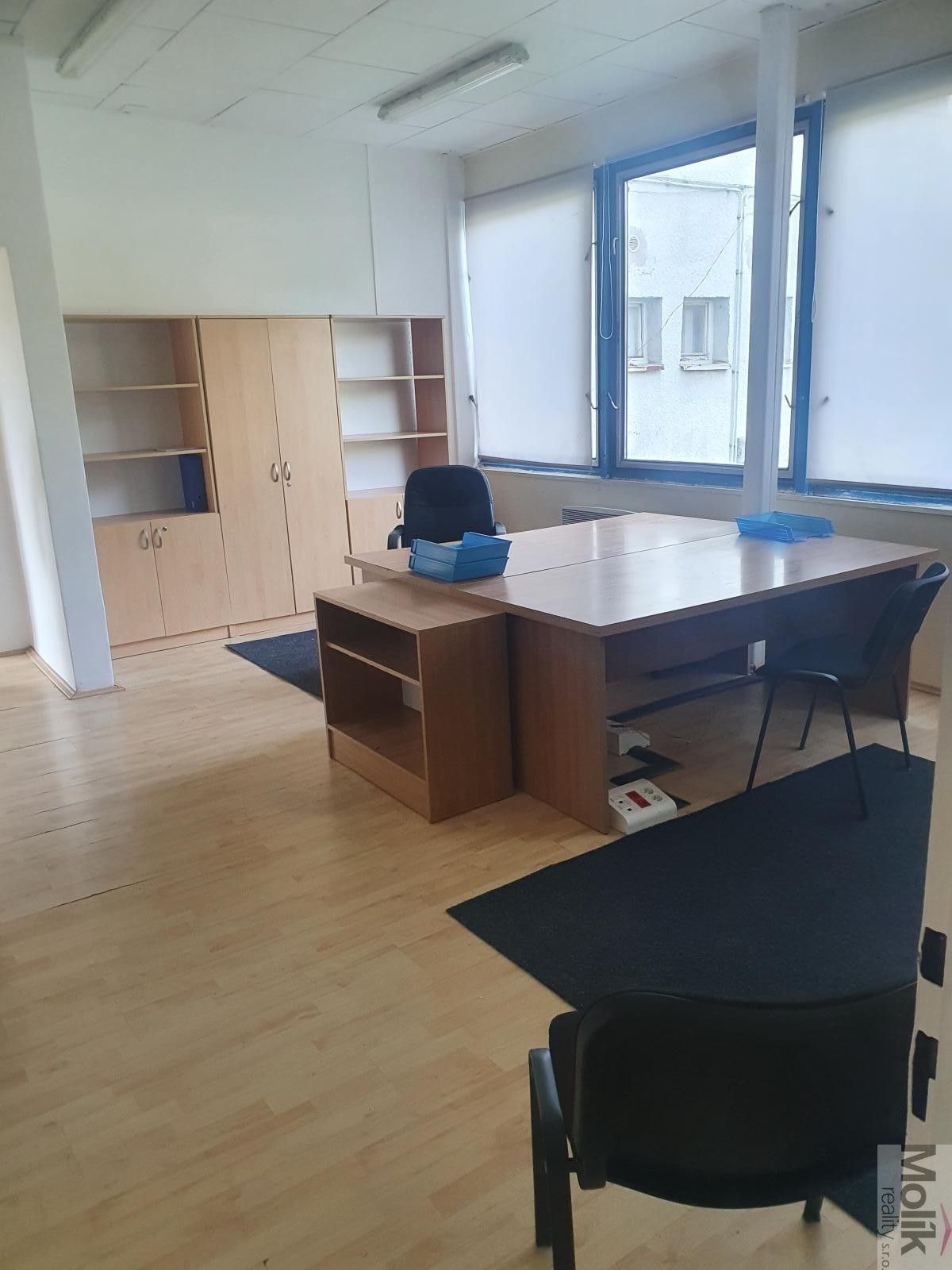 Pronájem nemovitosti 400 m² - foto 20
