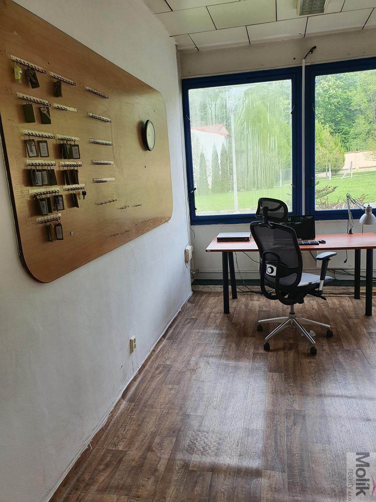 Pronájem nemovitosti 400 m² - foto 21