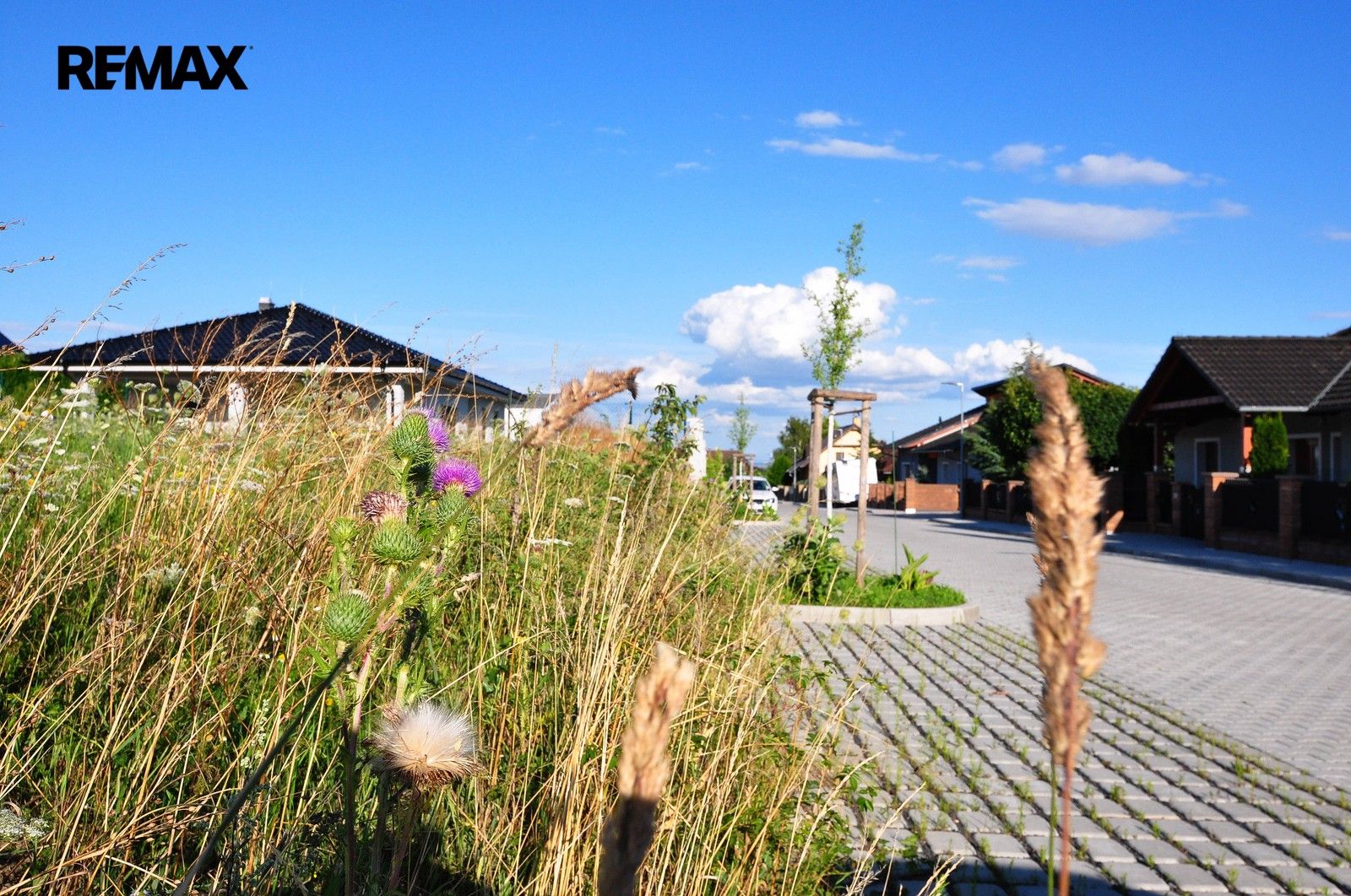 Prodej pozemku 970 m² - foto 4
