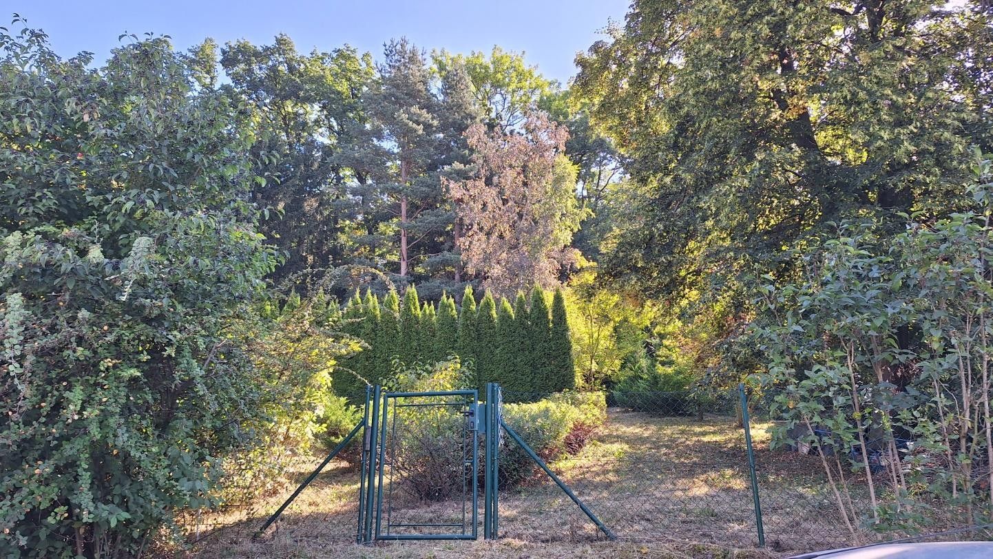 Prodej domu 30 m² - foto 2