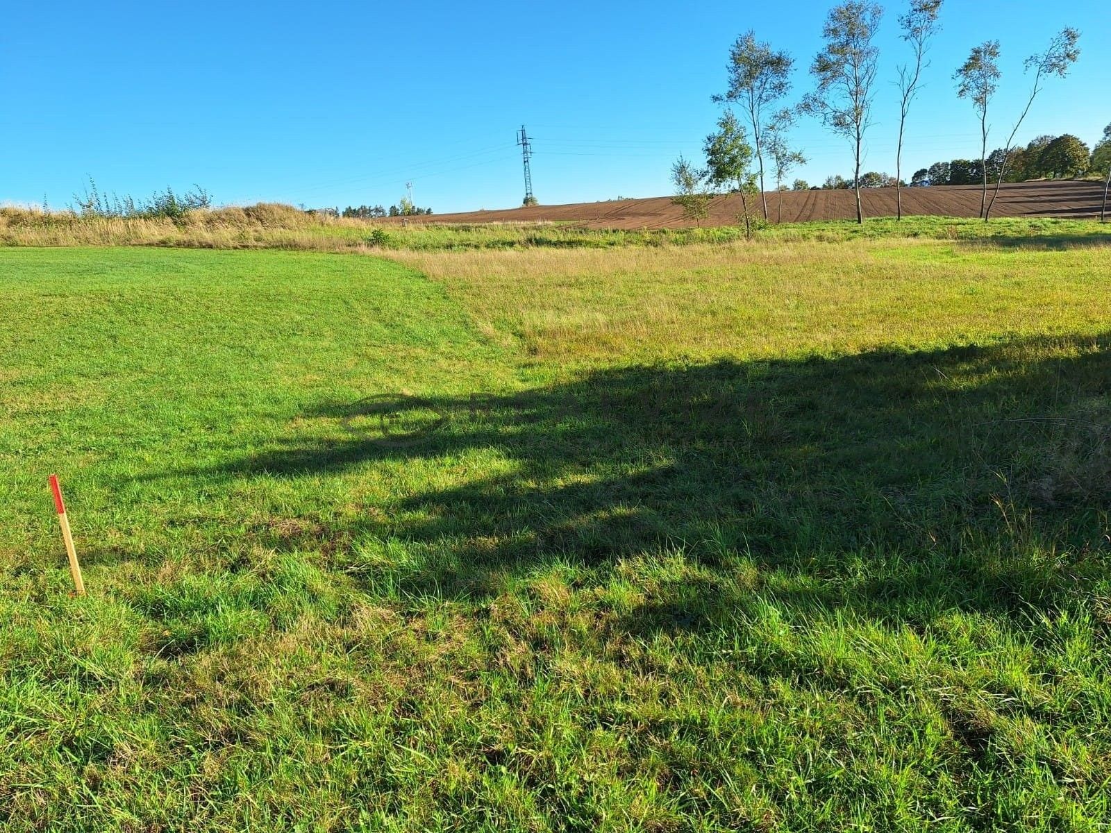 Prodej pozemku 2464 m² - foto 7