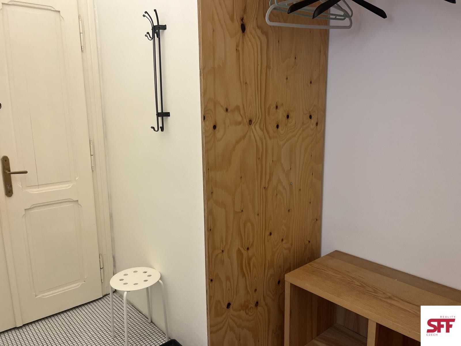 Pronájem bytu 1+kk 30 m² - foto 10