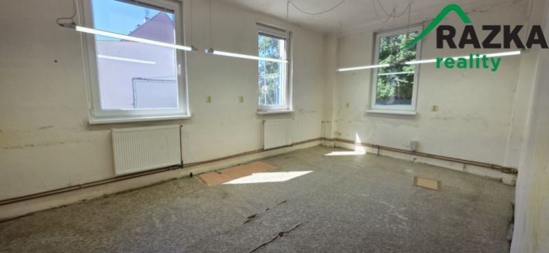 Pronájem komerčního prostoru 249 m² - foto 3