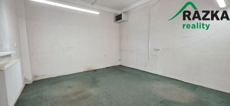 Pronájem komerčního prostoru 249 m² - foto 7