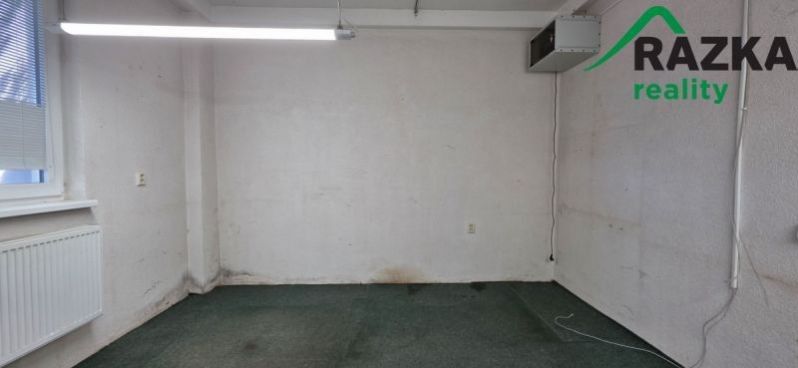 Pronájem komerčního prostoru 249 m² - foto 8