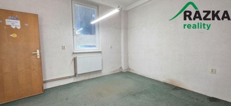 Pronájem komerčního prostoru 249 m² - foto 9