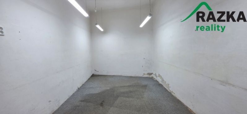 Pronájem komerčního prostoru 249 m² - foto 10