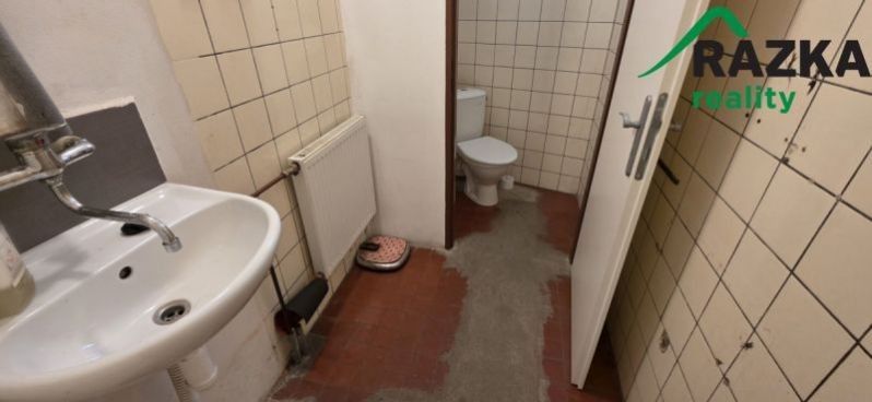 Pronájem komerčního prostoru 249 m² - foto 12
