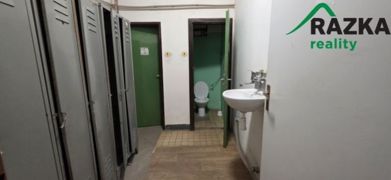 Pronájem komerčního prostoru 249 m² - foto 13