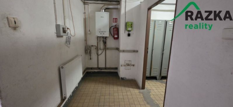 Pronájem komerčního prostoru 249 m² - foto 14