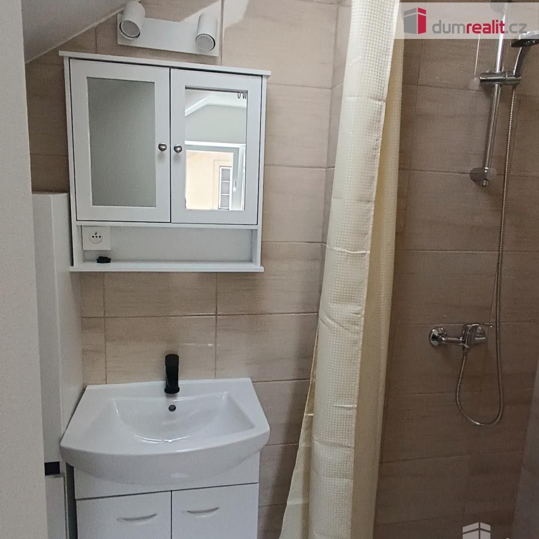 Pronájem bytu 1+kk 18 m² - foto 8