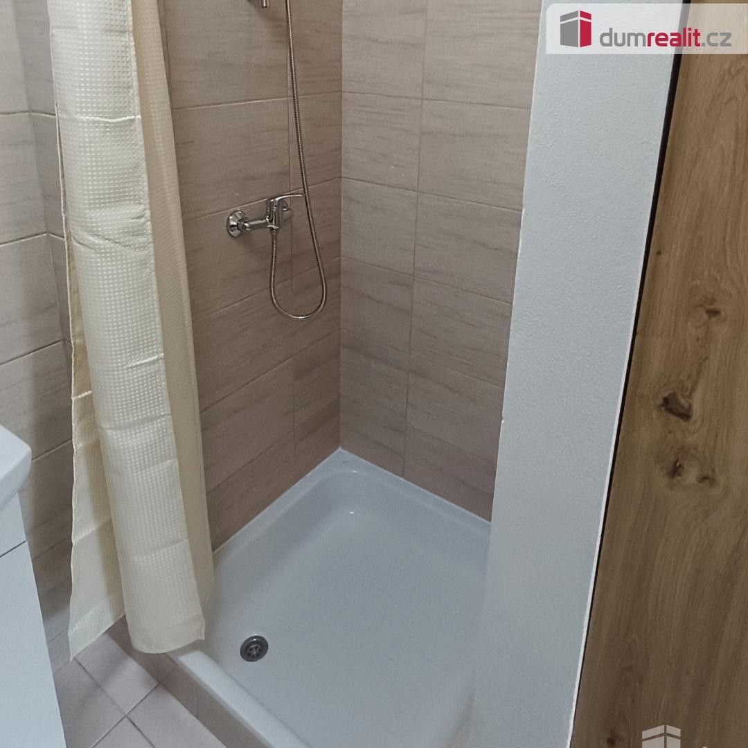 Pronájem bytu 1+kk 18 m² - foto 10