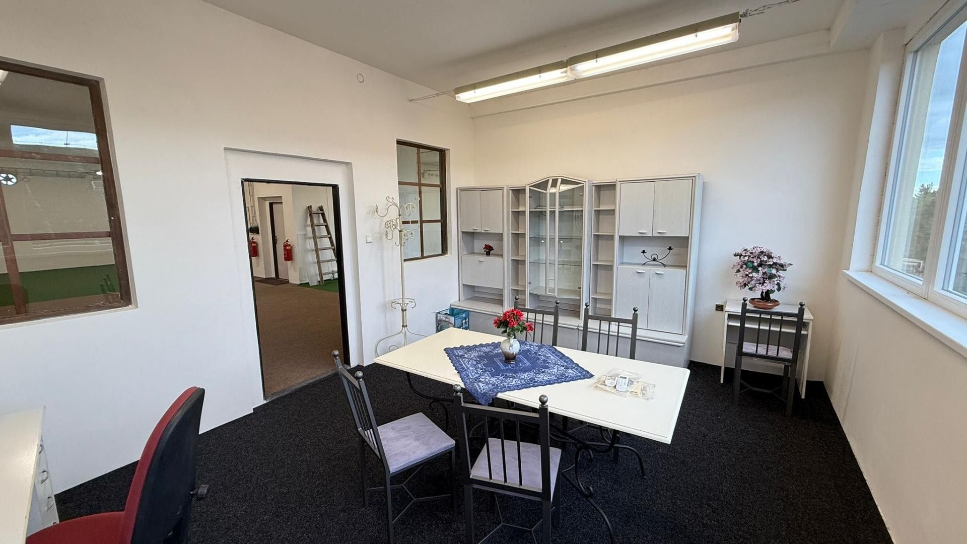 Pronájem komerčního prostoru 1200 m² - foto 8