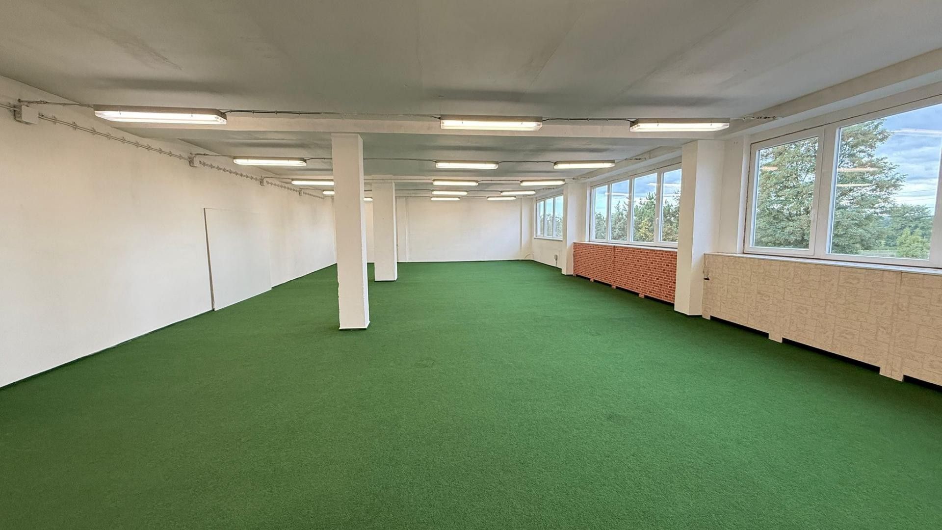 Pronájem komerčního prostoru 1200 m² - foto 2