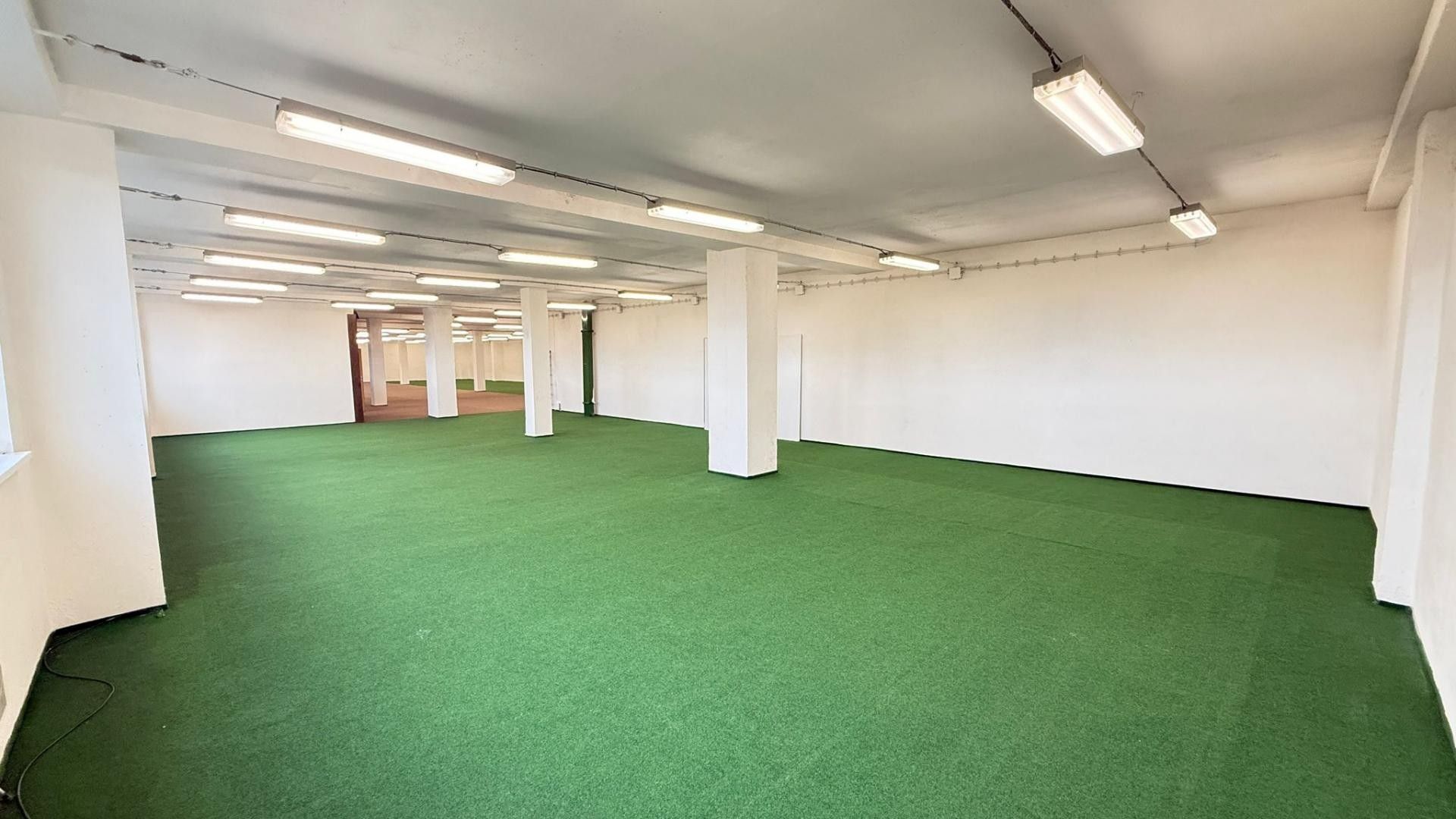 Pronájem komerčního prostoru 1200 m² - foto 6