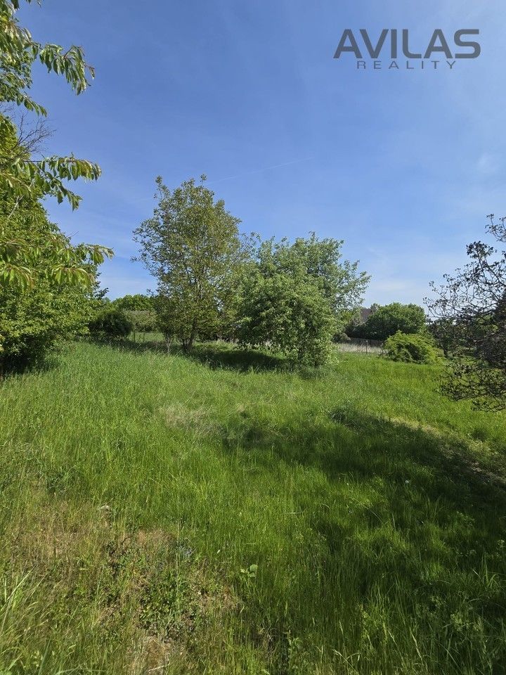 Prodej pozemku 731 m² - foto 6