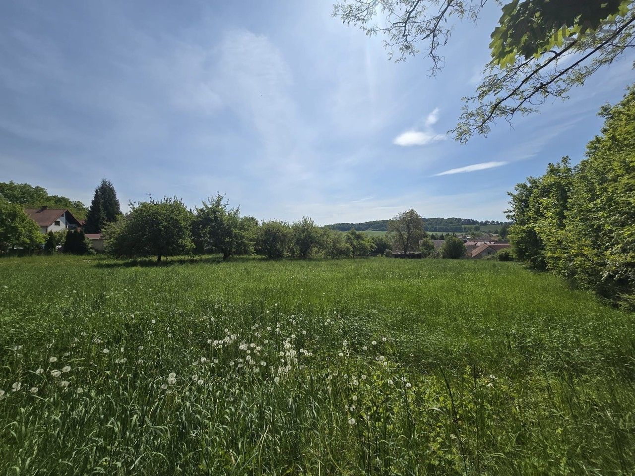 Prodej pozemku 731 m² - foto 4