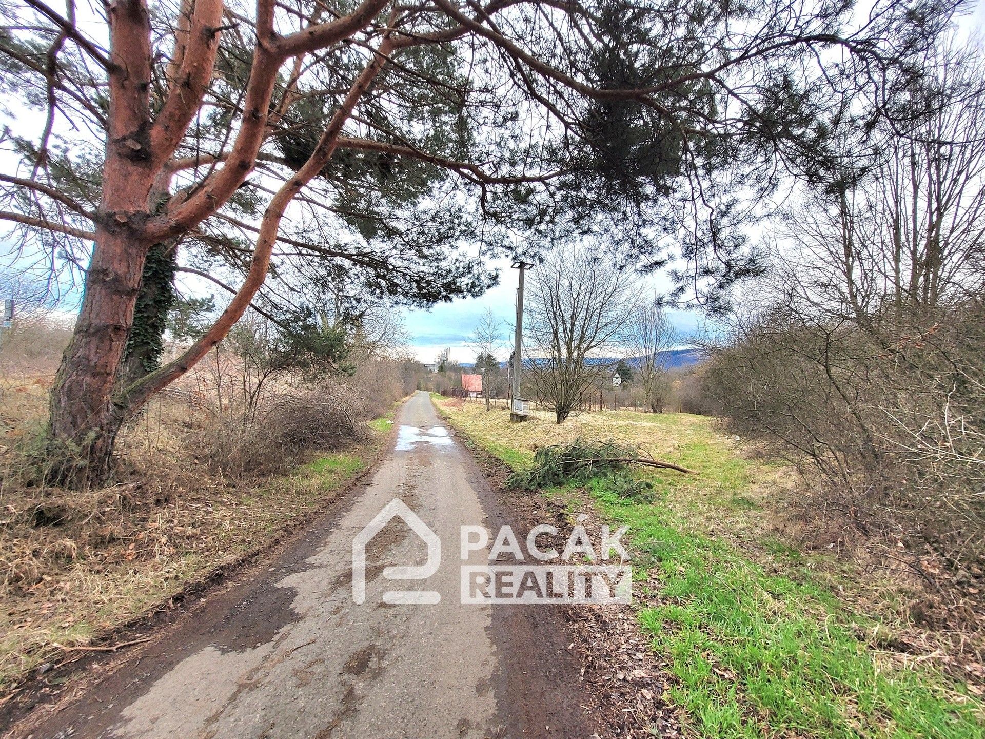 Prodej pozemku 2896 m² - foto 2