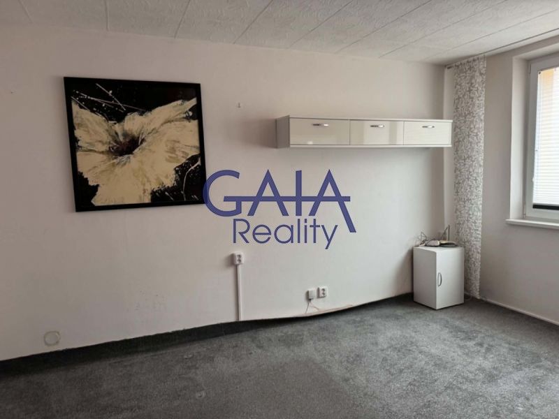 Pronájem bytu 1+1 33 m² - foto 4