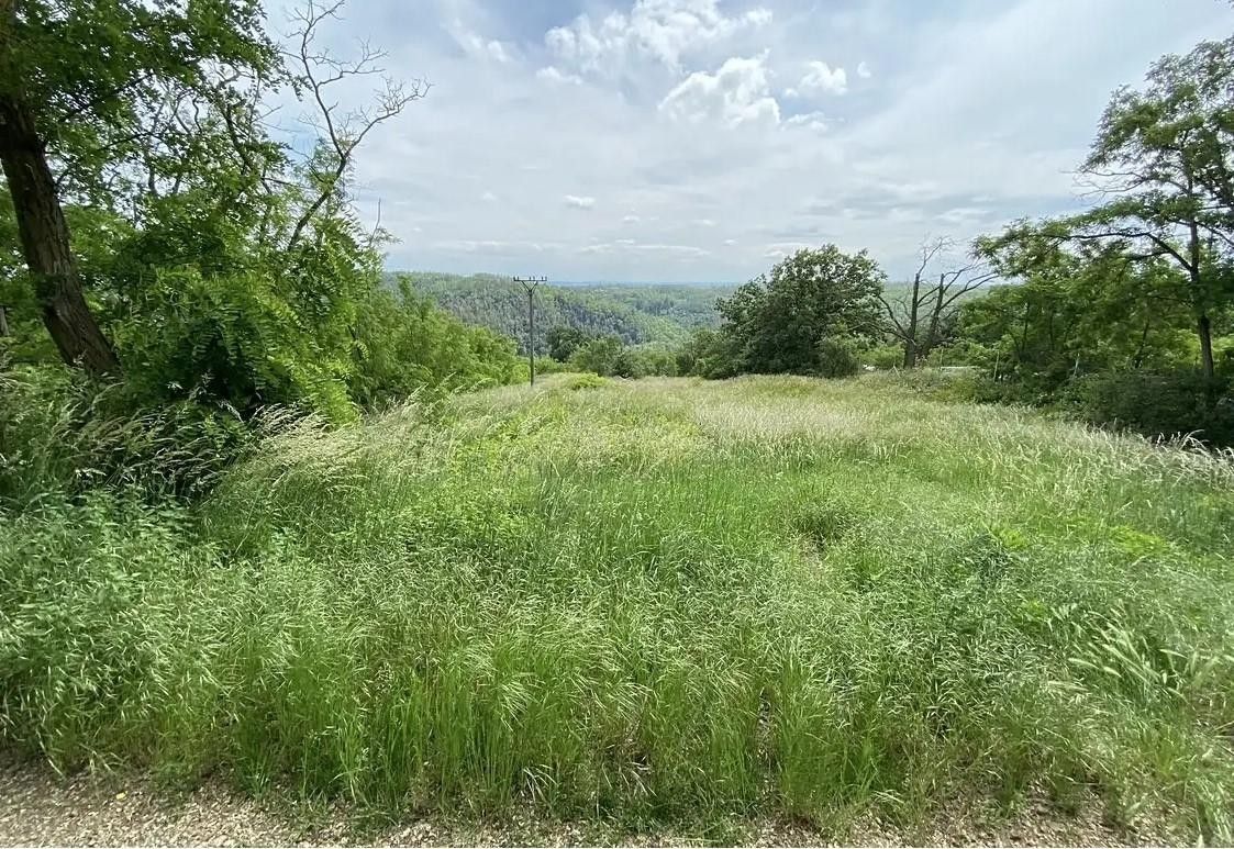 Prodej pozemku 2500 m² - foto 1