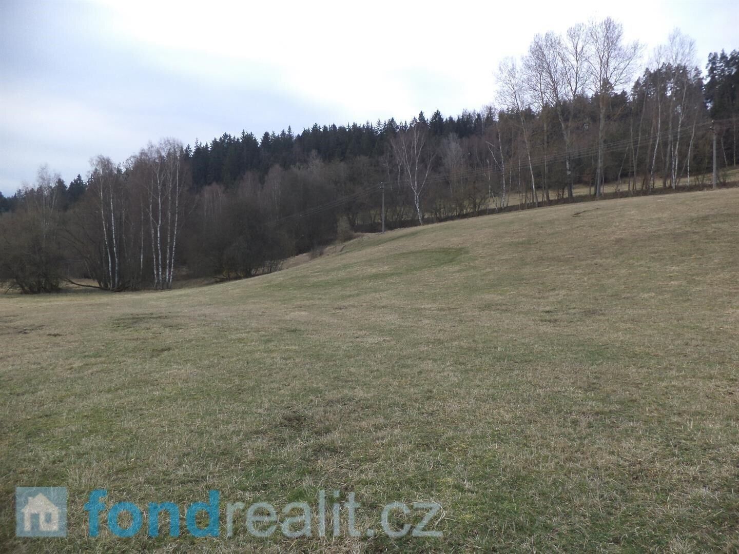 Prodej nemovitosti 6407 m² - foto 3